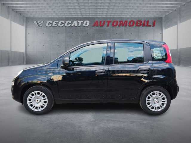 Fiat Panda 1.0l - black
