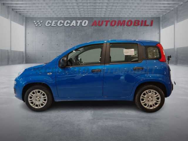 Fiat Panda 1.0l - blue