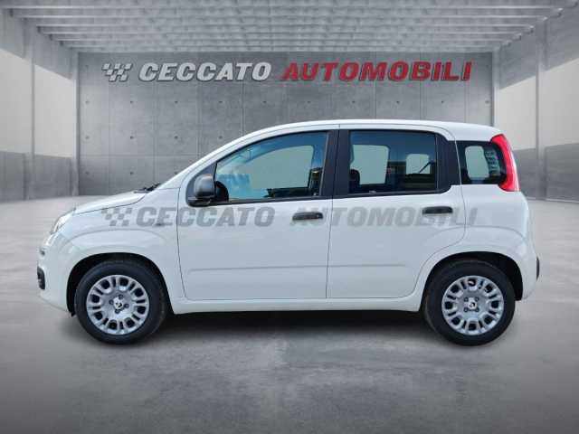 Fiat Panda 1.0l - white