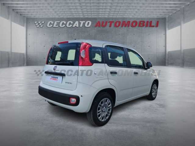 Fiat Panda 1.0l - white