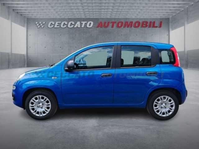 Fiat Panda 1.0l - blue