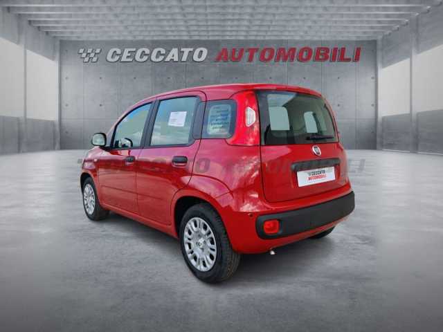 Fiat Panda 1.0l - red
