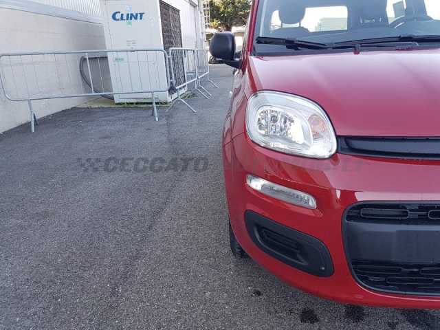 Fiat Panda 1.0l - red