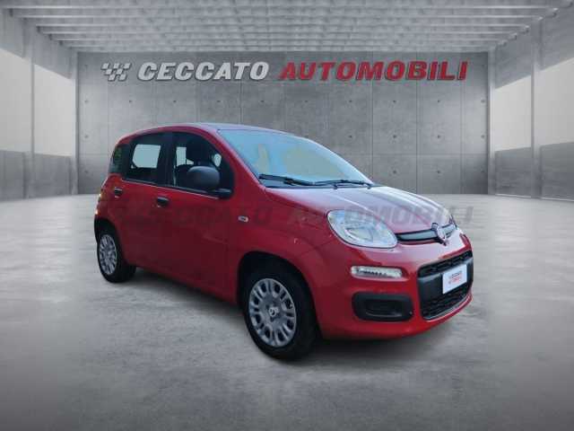 Fiat Panda 1.0l - red