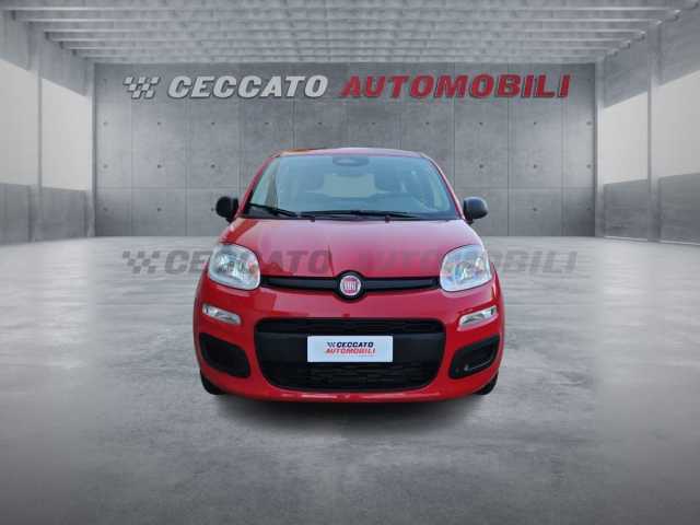 Fiat Panda 1.0l - red