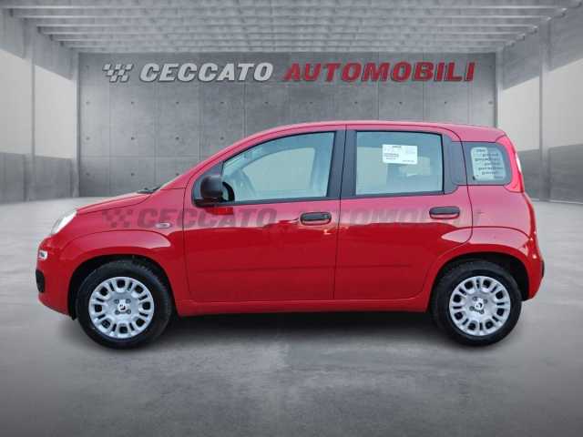 Fiat Panda 1.0l - red