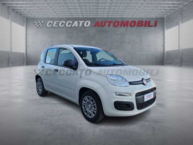 Fiat Panda 1.0l - white