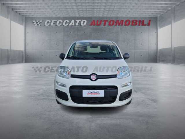 Fiat Panda 1.0l - white