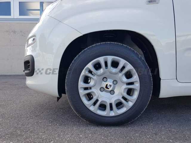 Fiat Panda 1.0l - white