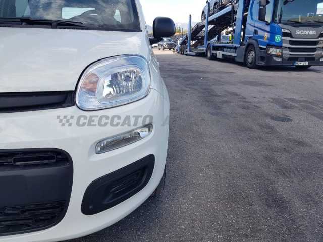 Fiat Panda 1.0l - white