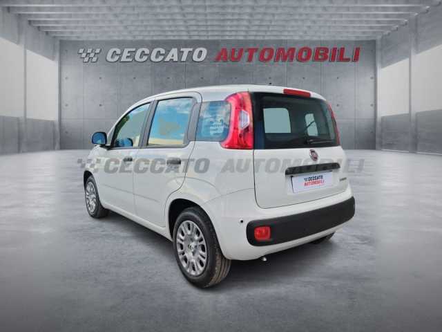 Fiat Panda 1.0l - white