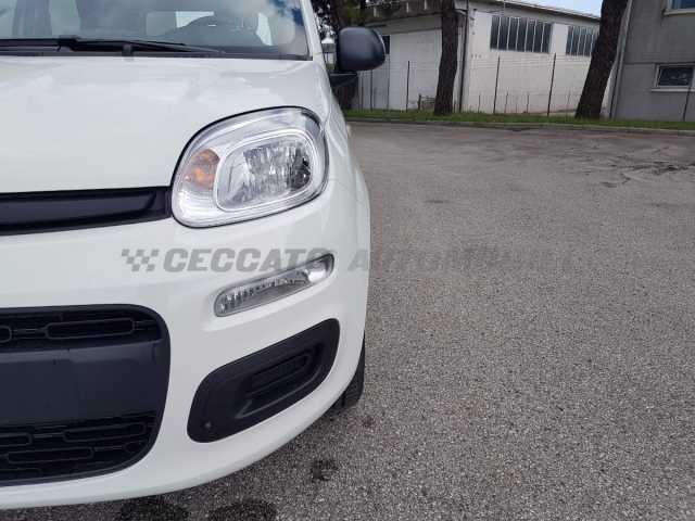Fiat Panda 1.0l - white