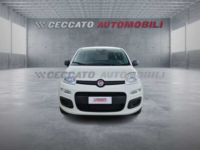 Fiat Panda 1.0l - white