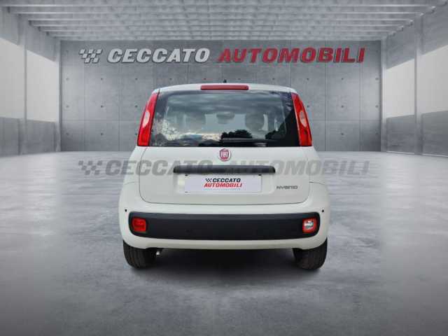 Fiat Panda 1.0l - white