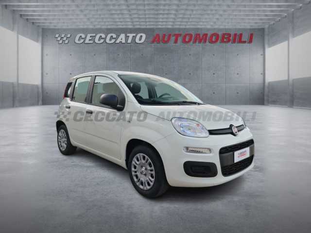 Fiat Panda 1.0l - white