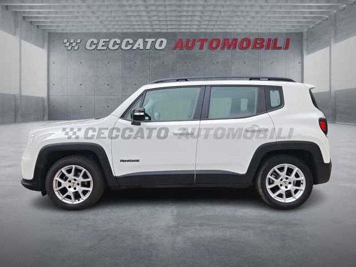 Jeep Renegade 1.6l