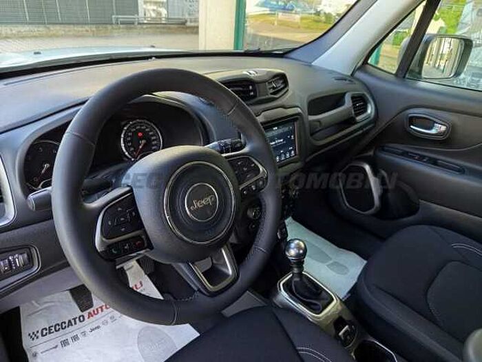 Jeep Renegade 1.6l